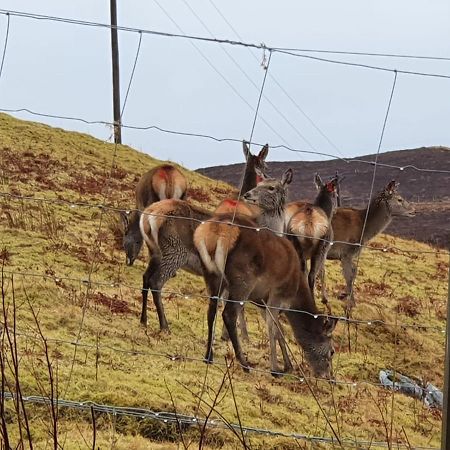 Stags View Holiday Home Portree Kültér fotó