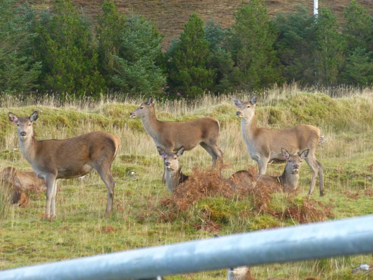 Stags View Holiday Home Portree Kültér fotó