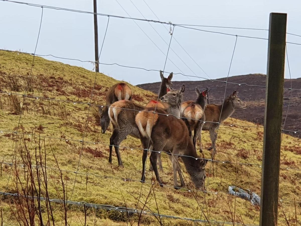 Stags View Holiday Home Portree Kültér fotó